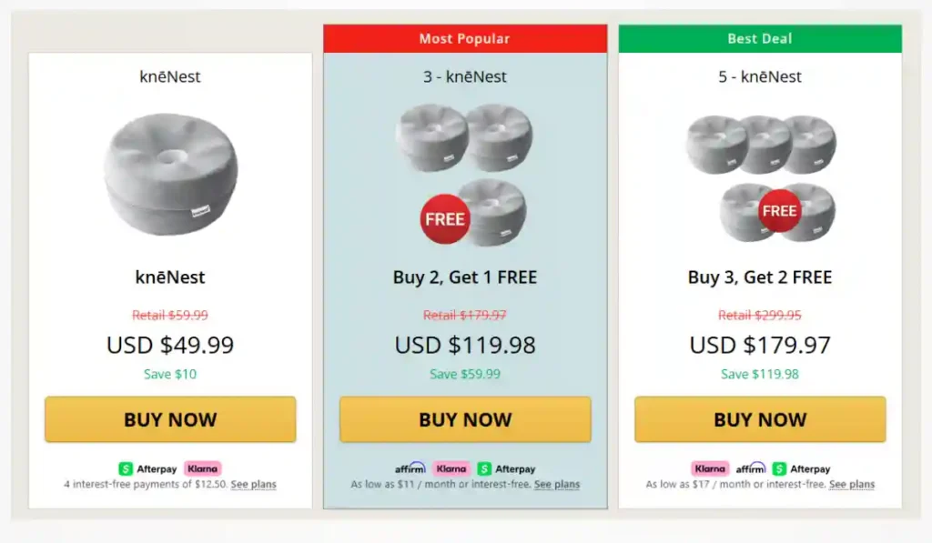 KneNest Knee Pillow Price